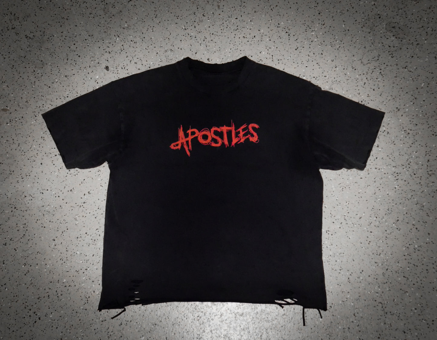 Apostles T-Shirt (Distressed) *Cropped*