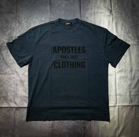 (PRE ORDER) !! BLUE APOSTLES T-SHIRT / PUMPCOVER